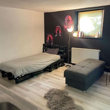 Pallet Bed With Lights Small Studio Cluj-Napoca Eksteriør billede