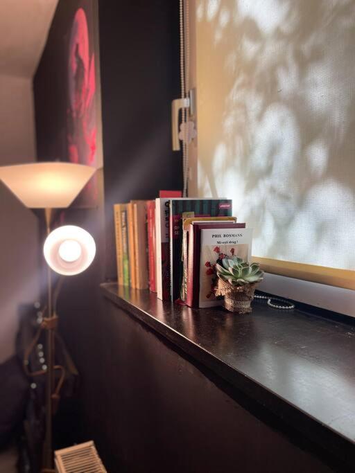 Pallet Bed With Lights Small Studio Cluj-Napoca Eksteriør billede